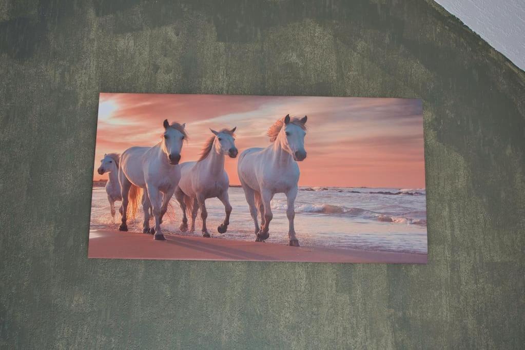 Le Fer A Cheval 4 Pers. Confort Plage Улгат Екстериор снимка